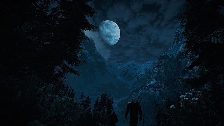 ilustrasi pria hutan, The Witcher, The Witcher 3: Perburuan Liar, malam, Bulan, video game, seni fantasi, Wallpaper HD
