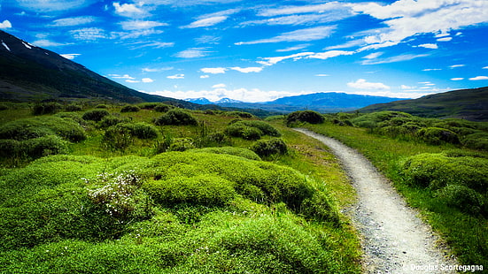 pathway between green grass field, way, pathway, green grass, grass field, torres del paine, patagonia, chile, argentina, south america, national park, trekking, landscape, path, trail, nature, green  blue, clouds, outdoor, mountain, snow, ice, spring  vacation, outdoors, summer, scenics, grass, hill, green Color, sky, forest, blue, meadow, travel, tree, valley, cloud - Sky, mountain Peak, beauty In Nature, HD wallpaper HD wallpaper