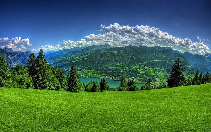 зеленые лиственные деревья, зелень, трава, горы, склон, озеро, деревья, облака, небо, синий, ели, хвойные, HD обои