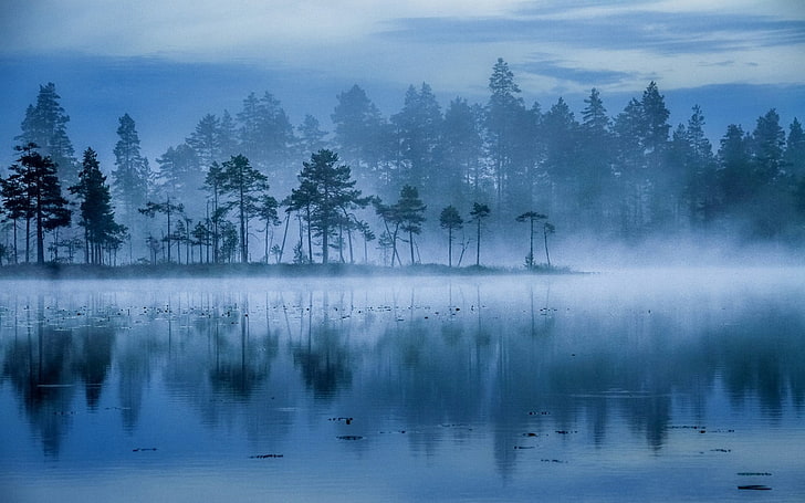 árbol de hojas verdes, paisaje, naturaleza, lago, niebla, árboles, azul, agua, Finlandia, Fondo de pantalla HD