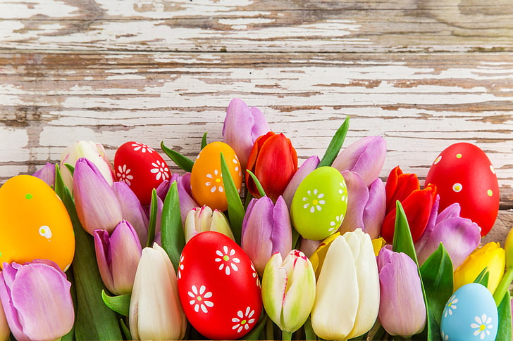 photo, fleurs, feuilles, tulipes, paques, oeufs, jour férié, Fond d'écran HD