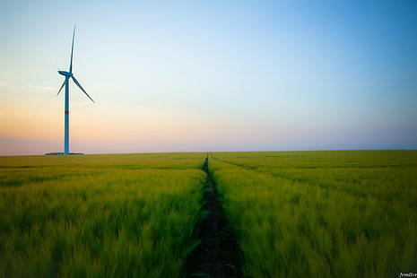 crop field with white windmill, Step, into the void, crop, white windmill, villers  le  bouillet, huy, liege, belgique, belgium, eolienne, champs, ciel, sky, horizon, canon, 50d, sigma, turbine, wind Turbine, nature, environment, fuel and Power Generation, electricity, technology, wind, energy, generator, turning, environmental Conservation, farm, wind Power, industry, field, alternative Energy, landscape, rural Scene, power, blue, propeller, HD wallpaper HD wallpaper
