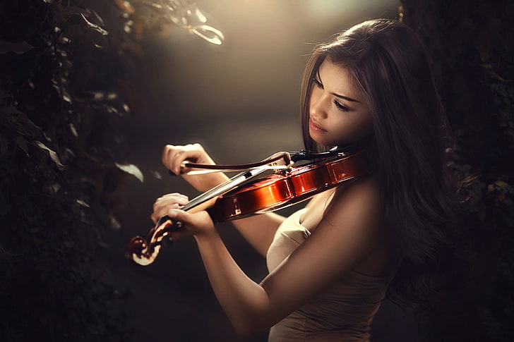 brown violin illustration, violin, bow, bokeh, violinist, HD wallpaper