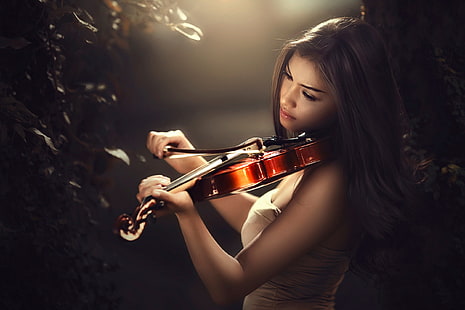 brown violin illustration, violin, bow, bokeh, violinist, HD wallpaper HD wallpaper