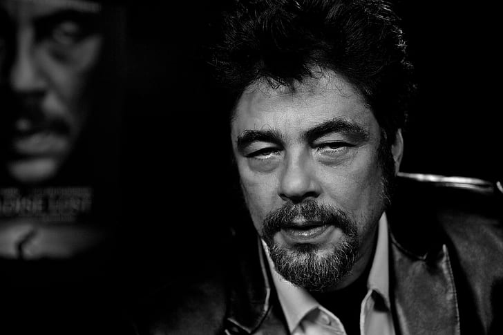 portrait, Benicio Del Toro, Benicio Monserrate Rafael del Toro Sánchez, Hollywood actor, HD wallpaper