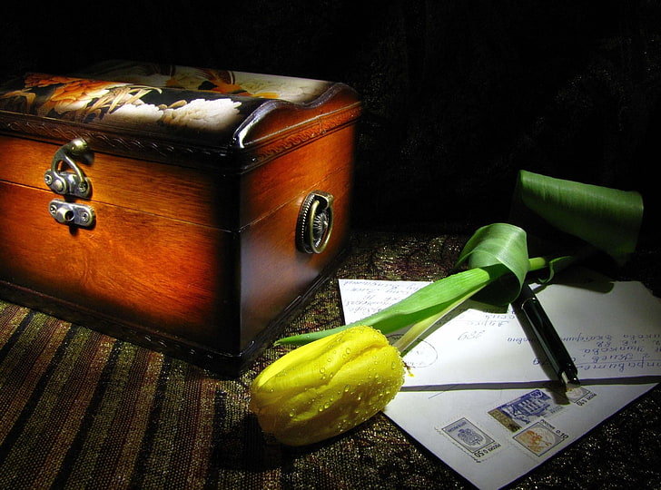 boîte de rangement en bois marron, tulipe, fleur, jaune, goutte, fraîcheur, boîte, email, Fond d'écran HD