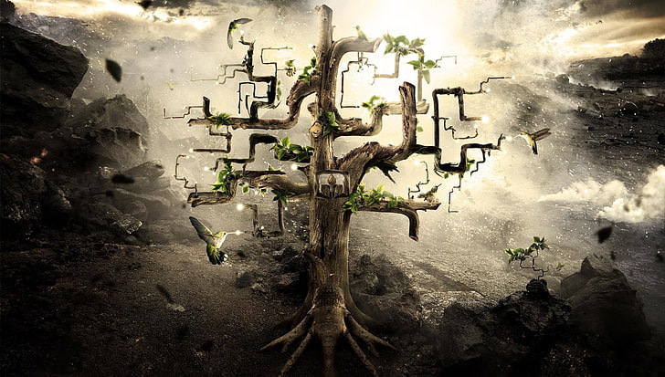 grünblättriger Baum, digitale Kunst, Grafik, Desktopografie, HD-Hintergrundbild