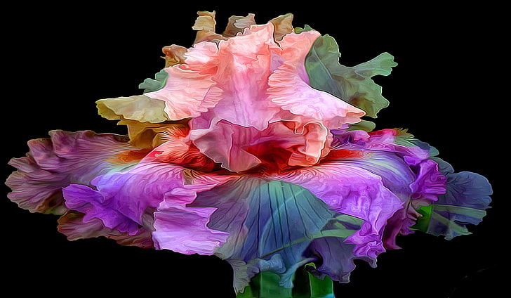 pink, purple, green, and blue flower, flower, line, background, paint, petals, iris, HD wallpaper