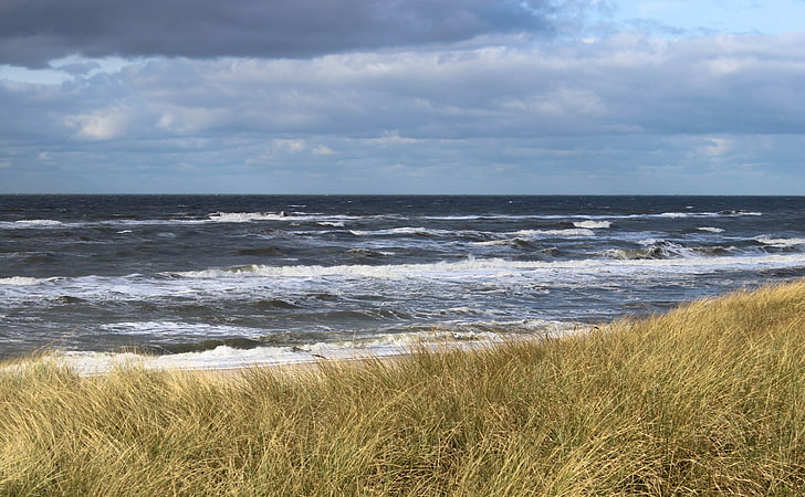 North Sea, Denmark, green grass, Europe, Denmark, Beach, Landscape, Water, canon, Kuste, hund, danemark, nordsea, dunen, HD wallpaper