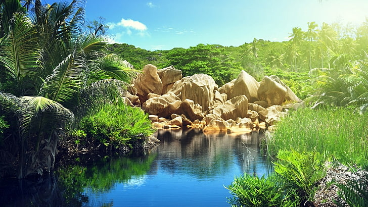 пейзаж, скала, камък, палма, джунгла, палми, размисъл, ваканция, палмово дърво, Сейшелски острови, лято, езерце, дърво, вода, езеро, La Digue, природа, HD тапет