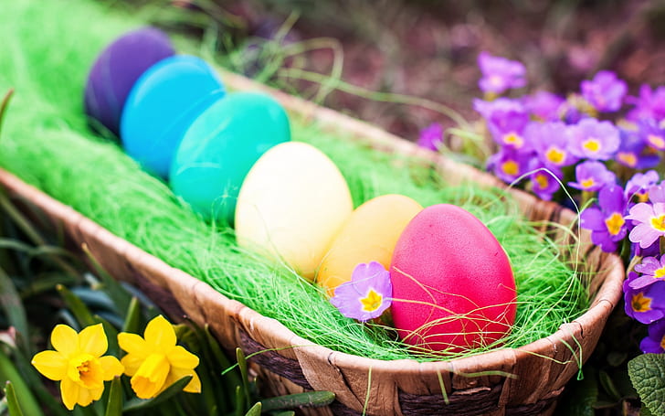 Huevos de Pascua frescos, huevos de pascua, pascua 2014, huevos de pascua 2014, Fondo de pantalla HD