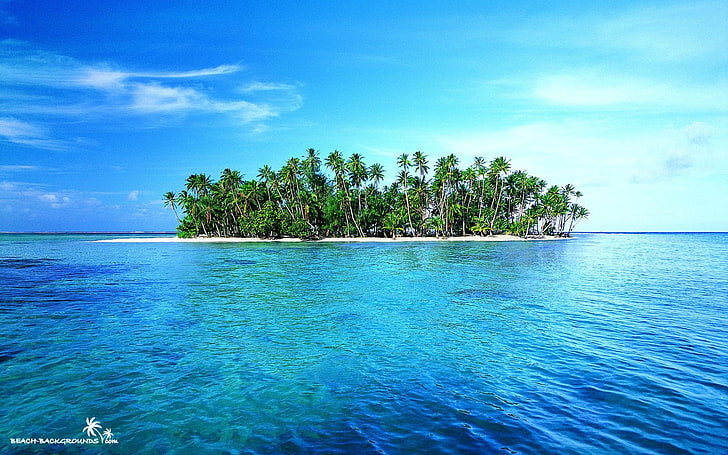 pulau, laut, pohon-pohon palem, Wallpaper HD