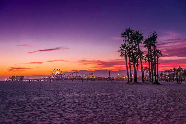 Los Angeles, plaża Santa Monica, sylwetka drzew, USA, Kalifornia, Los Angeles, plaża Santa Monica, ocean, palmy, Tapety HD