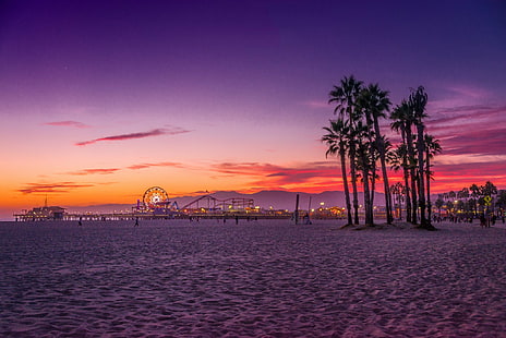 Los Angeles, Santa Monica sahil, ağaçların silueti, ABD, Kaliforniya, Los Angeles, Santa Monica sahil, Okyanus, palmiye ağaçlarının, HD masaüstü duvar kağıdı HD wallpaper