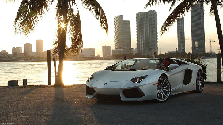 vit lyxbil, Lamborghini Aventador, bil, Lamborghini, palmer, stadsbild, solljus, fordon, HD tapet