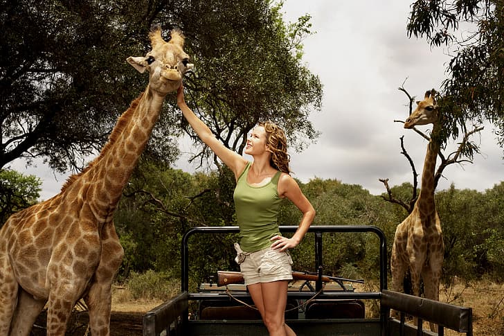 Actress, Giraffes, Giraffe, Amanda Holden, Wild at Heart, HD wallpaper