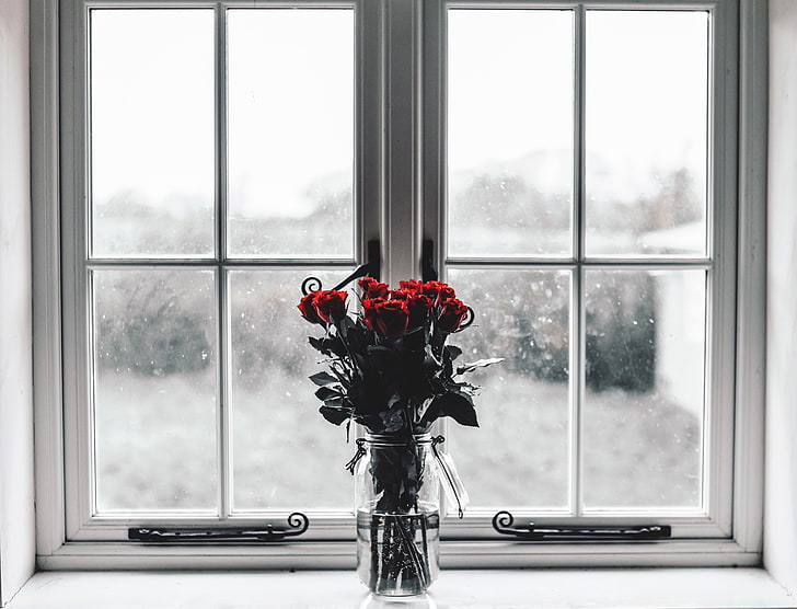peça central de flores de rosa vermelha, rosas, buquê, vaso, janela, HD papel de parede