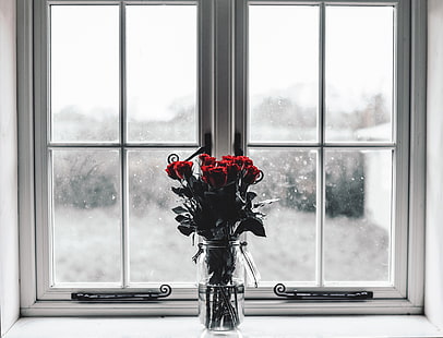 赤いバラの花のセンターピース、バラ、花束、花瓶、窓、 HDデスクトップの壁紙 HD wallpaper