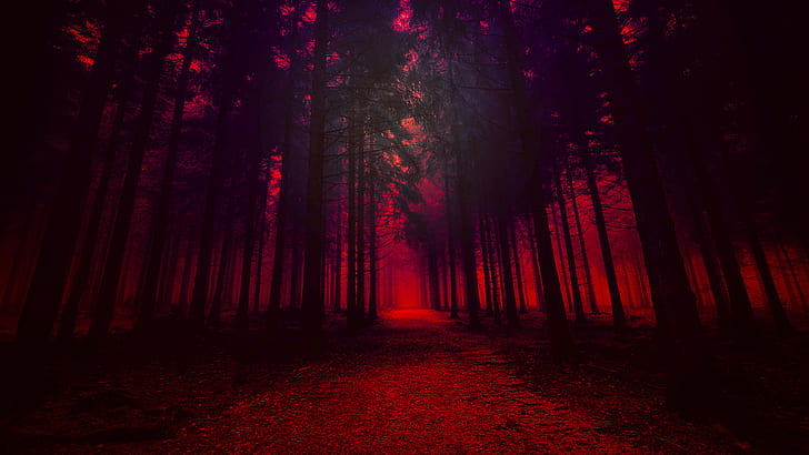 Sự lãng mạn và mê hoặc của khu rừng đỏ đã được tái hiện một cách tinh tế trong bức ảnh này. Hãy tận hưởng những khoảnh khắc thanh tịnh và đầy cảm xúc với một lối đi rực rỡ màu đỏ trong khu rừng đầy yêu thương này.