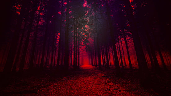 Bosque rojo, Fondo de pantalla HD HD wallpaper