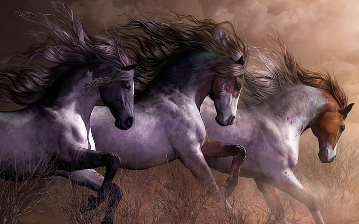 Три коня тичащи, трева, три бели и кафяви коне живопис, Три, коне, бягане, трева, HD тапет