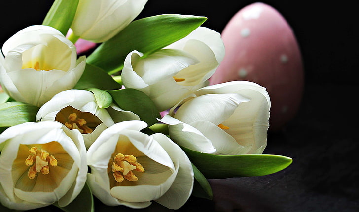 background, beauty, bouquet of flowers, breeding tulip, cheerful, close, concerns, early bloomer, easter, easter egg, flora, floral greeting, flowers, frhlingsanfang, give, give away, greeting, greeting card, joy, HD wallpaper