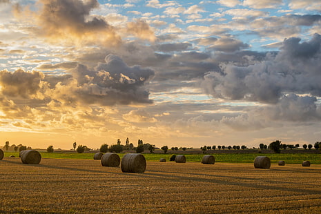 hays on wheat field during sunrise, Hay, Rolls, Sunset, hays, wheat field, sunrise, Söderslätt, cloud, countryside, roll, landscape, landskap, sky, exif, model, canon eos, 760d, focal_length, 40 mm, camera, iso_speed, country, state, geo:location, lens, ef, s18, f/3.5, city, aperture, ƒ / 6, canon, agriculture, nature, rural Scene, field, farm, summer, cloud - Sky, outdoors, yellow, crop, meadow, bale, HD wallpaper HD wallpaper