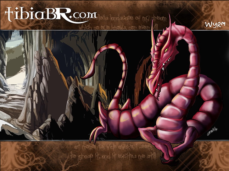Tibia, PC gaming, RPG, dragon, HD wallpaper