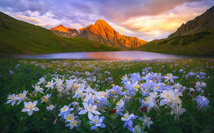 Island Lake Colorado San Juan Mountains Blommor äng Solnedgång Landskap Tapet Hd 2560 × 2160, HD tapet
