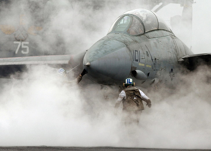 avión de combate gris, Jet Fighters, Grumman F-14 Tomcat, Fondo de pantalla HD