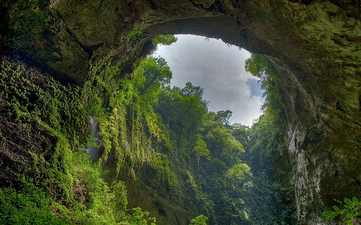 Arch Forest Jungle Cliff HD, nature, forest, jungle, cliff, arch, HD wallpaper