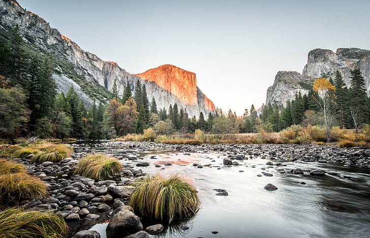 picture of creek during daylight, el capitan, el capitan, El Capitan, picture, creek, daylight, nature, Landscape, yosemite, scenery, HDR, Fall, mountain, rock - Object, scenics, outdoors, river, forest, autumn, beauty In Nature, tree, water, national Landmark, HD wallpaper