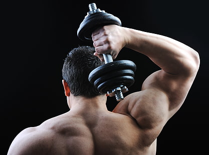 muscles, back, bodybuilding, shoulders, dumbbell, bodybuilder, HD wallpaper HD wallpaper
