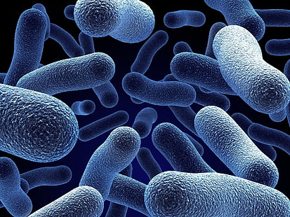 иллюстрация синих микроорганизмов, бактерии, произведения искусства, синий, цифровое искусство, HD обои HD wallpaper