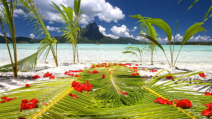 natura, niebo, woda, lato, morze, wakacje, podróż, plaża, drzewo, krajobraz, wyspa, tropikalny, ocean, piasek, palma, wybrzeże, turkus, wakacje, słońce, wybrzeże, spokojny, raj, chmura, słoneczny, turystyka, relaks, kurort, scena, idylliczne, Karaiby, Wybrzeże, relaks, jezioro, horyzont, sceniczny, odbicie, zatoka, chmury, na wolnym powietrzu, fala, Tapety HD