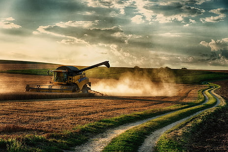 road, field, the harvest, harvester, HD wallpaper HD wallpaper
