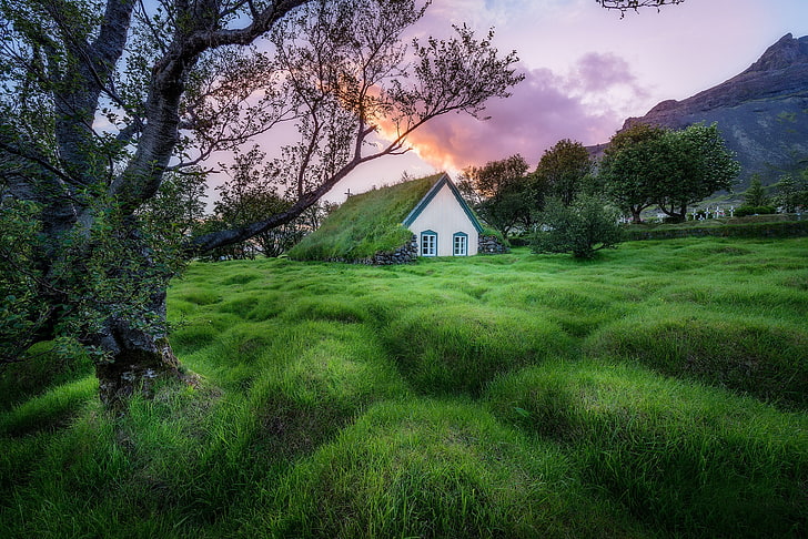 church, green, landscape, Iceland, HD wallpaper