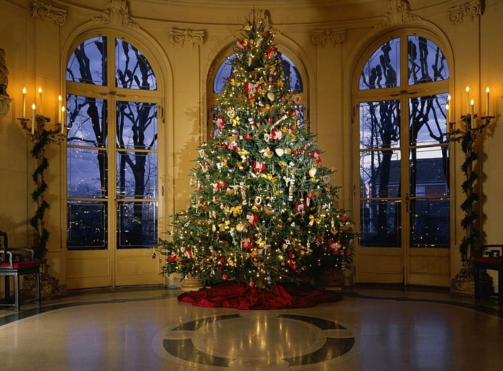 дърво, Коледа, Нова година, зала, празник, декорации, дърво, Коледа, Нова година, зала, празник, декорации, HD тапет