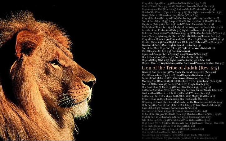 Lion of the Tribe of Jadah Rev.5: 5, cytat, lew, Tapety HD