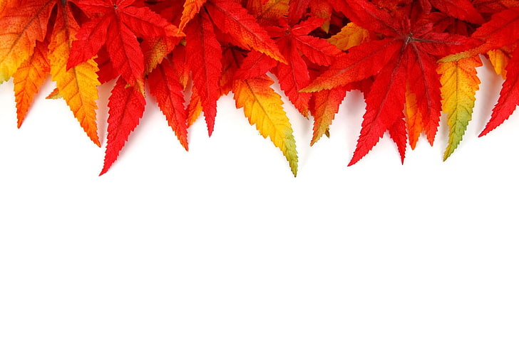 абстрактно, есен, ярко, цветно, листа, природа, оранжево, модел, червено, сезони, текстура, жълто, зелено, HD тапет