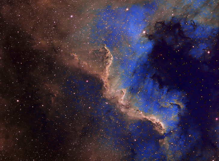 갈색과 파란색 성운 일러스트, 성운, 아름다움, 북미, 별자리, 방출, 백조, NGC 7000, HD 배경 화면