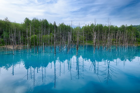 Giappone, Hokkaido, Giappone, Hokkaido, stagno blu, riflessione, alberi, cielo, nuvole, Sfondo HD HD wallpaper