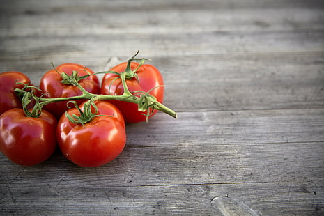 червени домати в кафява повърхност, домат, домат, червено, кафяво, повърхност, търговски, бие, снимки, дизайн, макет, храна, дърво - материал, свежест, зеленчук, органичен, маса, вегетарианска храна, узрял, едър план, фонове, HD тапет HD wallpaper
