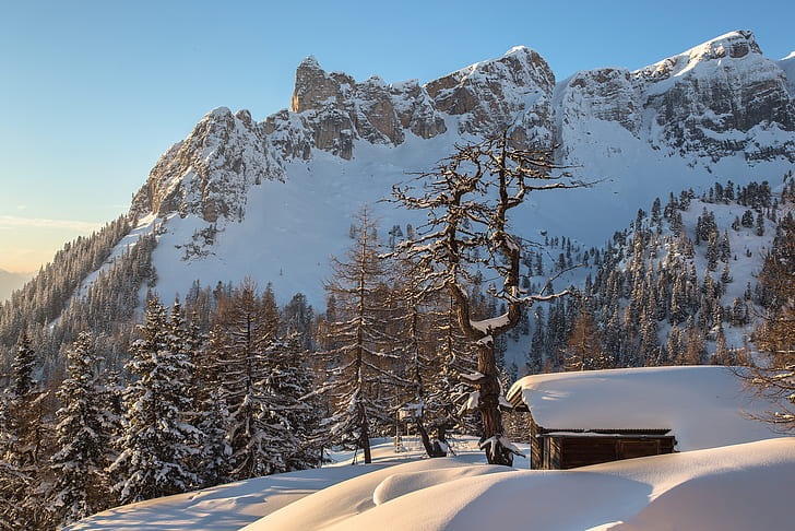 winter, forest, snow, mountains, Austria, Alps, house, Torsten Muehlbacher photography, HD wallpaper