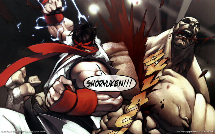 Street Fighter Fight Ryu Sagat HD, street fighter ryun fighting illustration, video games, street, fighter, fight, ryu, sagat, HD wallpaper