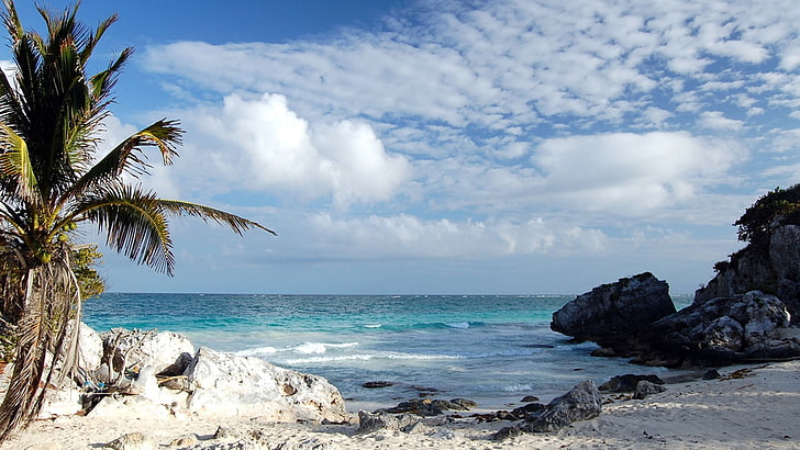 beach, palm trees, sky, clouds, sea, HD wallpaper
