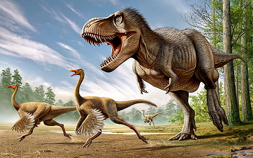 ancien, animaux, dinosaure, rex, tyrannosaure, Fond d'écran HD HD wallpaper