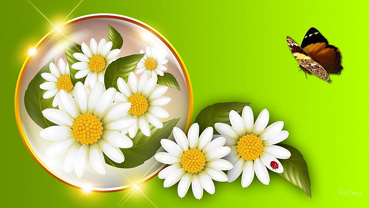 Daisy Orb, stars, bright, leaves, green, butterfly, sparkle, daisies, spring, shasta, shine, fresh, lady bug, HD wallpaper