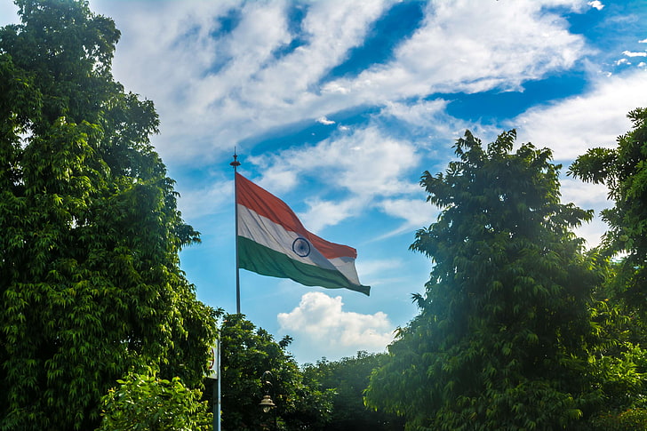 ashok, ashok chakra, bleu, nuages, drapeau, vert, inde, drapeau indien, orange, lumière du soleil, rayons de soleil, tiranga, arbres, tricolore, Fond d'écran HD