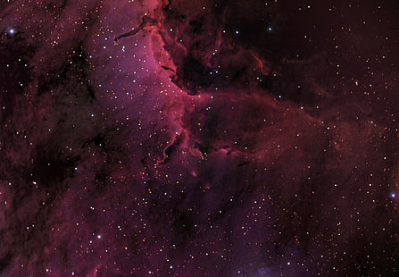 красная туманность, космос, туманность пеликан, созвездие, вселенная, IC5067, HD обои HD wallpaper